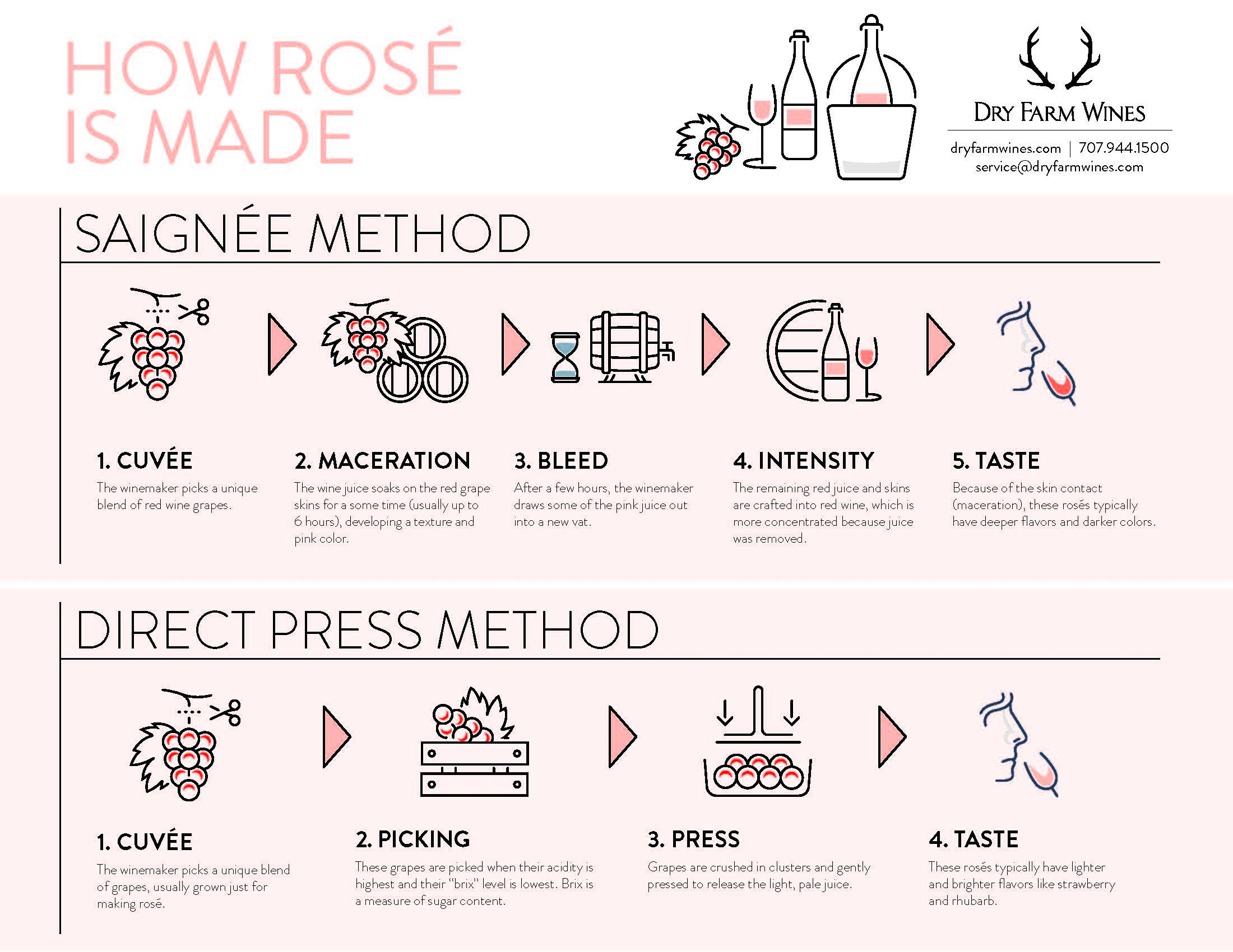 Because I'm Obsessed How Rosé is Made